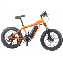 20 inch electric fat bike for kids bicycle,20 inch electric bicycle cheap price battery powered bike,20 electric bicycle ebike